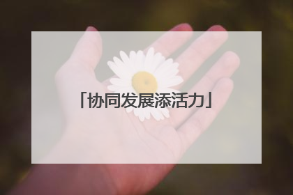 协同发展添活力