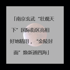 南京玄武“壮观天下”国际街区亮相 好地精用，“金陵封面”焕新通四海