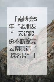 南博会5年“老朋友” 云铝股份不断擦亮云南制造“绿名片”