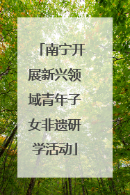 南宁开展新兴领域青年子女非遗研学活动