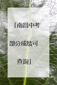 南昌中考部分成绩可查询