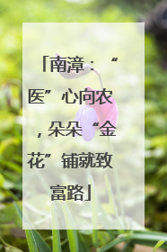 南漳：“医”心向农，朵朵“金花”铺就致富路