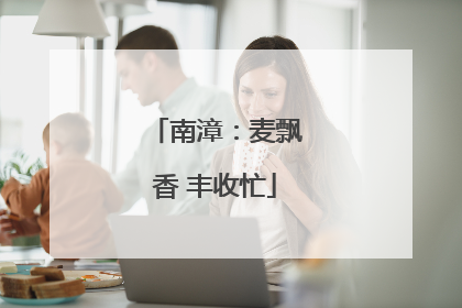 南漳：麦飘香 丰收忙
