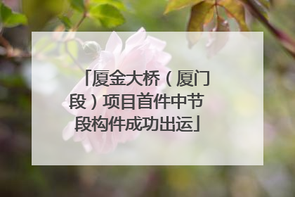 厦金大桥（厦门段）项目首件中节段构件成功出运