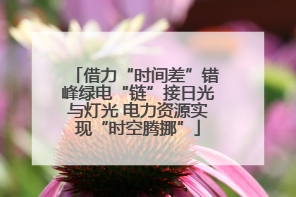 借力“时间差”错峰绿电“链”接日光与灯光 电力资源实现“时空腾挪”