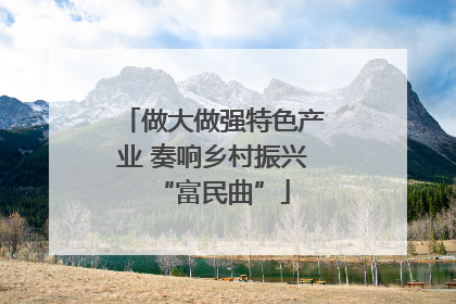 做大做强特色产业 奏响乡村振兴“富民曲”