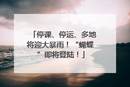 停课、停运、多地将迎大暴雨！“蝴蝶”即将登陆！