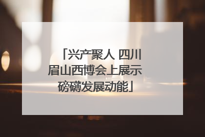 兴产聚人 四川眉山西博会上展示磅礴发展动能