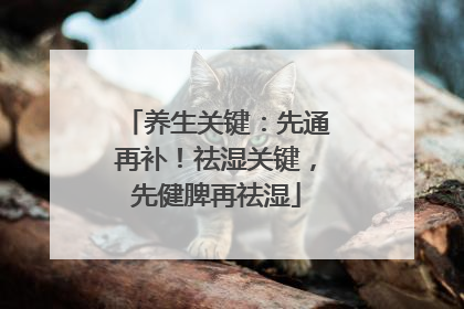 养生关键：先通再补！祛湿关键，先健脾再祛湿