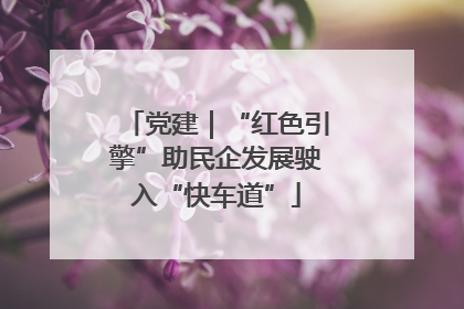 党建｜“红色引擎”助民企发展驶入“快车道”