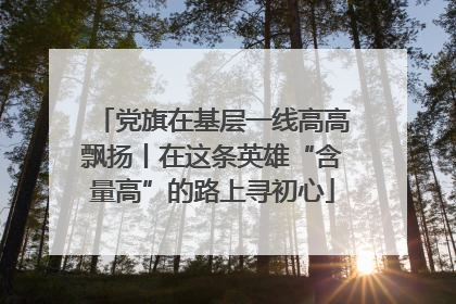 党旗在基层一线高高飘扬丨在这条英雄“含量高”的路上寻初心