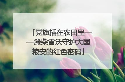 党旗插在农田里——潍柴雷沃守护大国粮安的红色密码