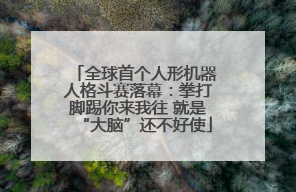 全球首个人形机器人格斗赛落幕：拳打脚踢你来我往 就是“大脑”还不好使