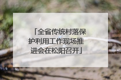 全省传统村落保护利用工作现场推进会在松阳召开