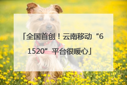 全国首创！云南移动“61520”平台很暖心