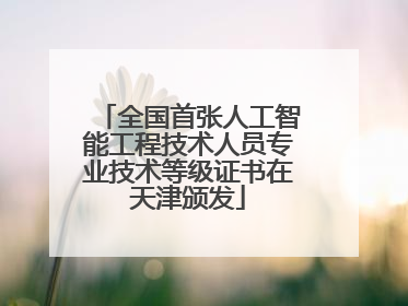 全国首张人工智能工程技术人员专业技术等级证书在天津颁发