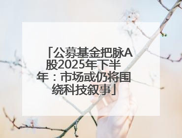 公募基金把脉A股2025年下半年：市场或仍将围绕科技叙事