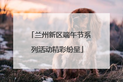 兰州新区端午节系列活动精彩纷呈