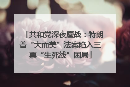共和党深夜鏖战：特朗普“大而美”法案陷入三票“生死线”困局