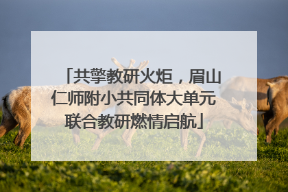 共擎教研火炬，眉山仁师附小共同体大单元联合教研燃情启航