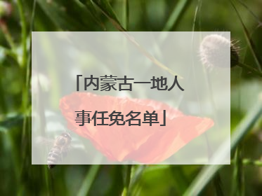 内蒙古一地人事任免名单