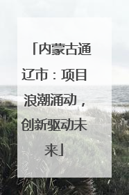 内蒙古通辽市：项目浪潮涌动，创新驱动未来