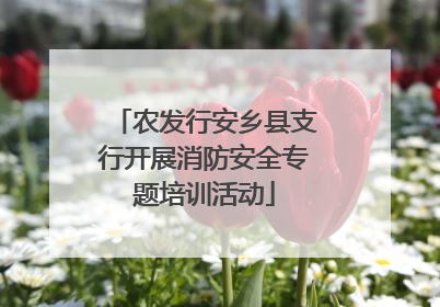 农发行安乡县支行开展消防安全专题培训活动