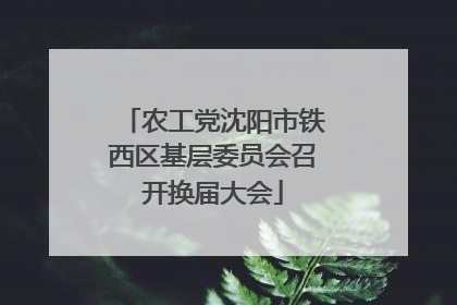 农工党沈阳市铁西区基层委员会召开换届大会