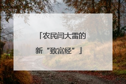 农民闫大雷的新“致富经”