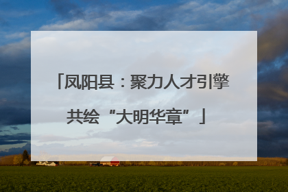 凤阳县：聚力人才引擎 共绘“大明华章”