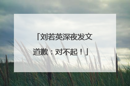 刘若英深夜发文道歉：对不起！