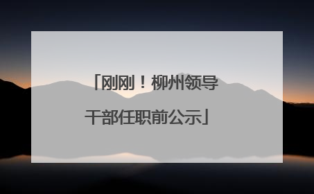 刚刚！柳州领导干部任职前公示