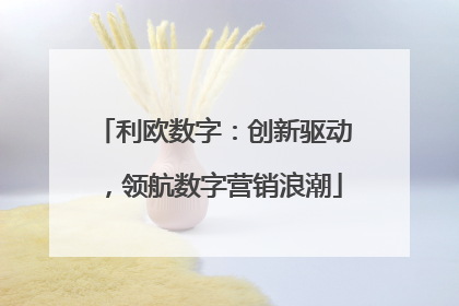 利欧数字：创新驱动，领航数字营销浪潮