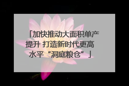 加快推动大面积单产提升 打造新时代更高水平“洞庭粮仓”
