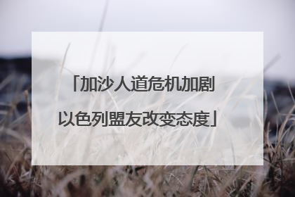 加沙人道危机加剧 以色列盟友改变态度