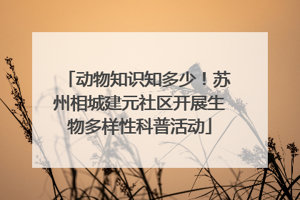 动物知识知多少！苏州相城建元社区开展生物多样性科普活动