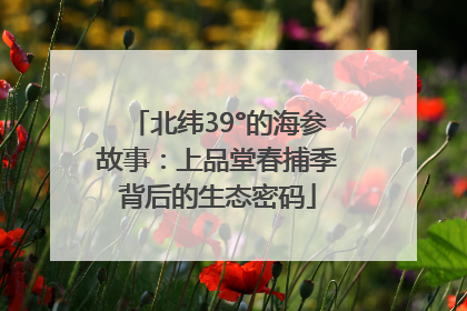 北纬39°的海参故事：上品堂春捕季背后的生态密码