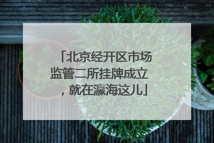 北京经开区市场监管二所挂牌成立，就在瀛海这儿