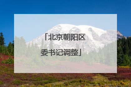 北京朝阳区委书记调整