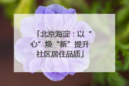 北京海淀：以“心”焕“新”提升社区居住品质