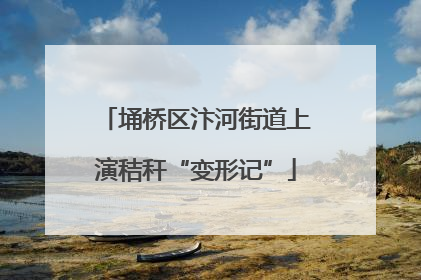 埇桥区汴河街道上演秸秆“变形记”
