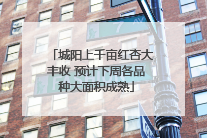 城阳上千亩红杏大丰收 预计下周各品种大面积成熟