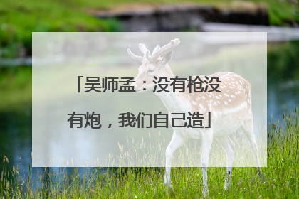 吴师孟：没有枪没有炮，我们自己造