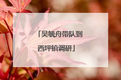 吴毓舟带队到西坪镇调研