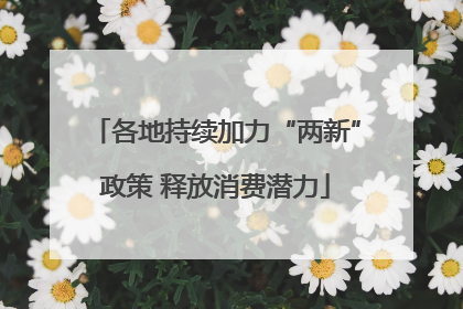 各地持续加力“两新”政策 释放消费潜力