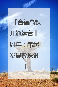 合福高铁开通运营十周年：串起发展珍珠链