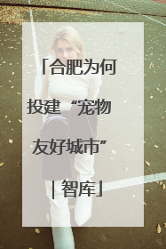 合肥为何投建“宠物友好城市”｜智库