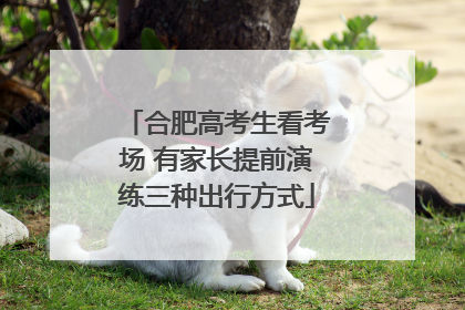 合肥高考生看考场 有家长提前演练三种出行方式