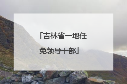 吉林省一地任免领导干部
