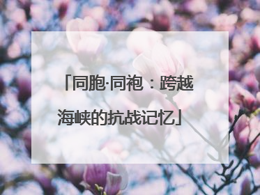 同胞·同袍：跨越海峡的抗战记忆